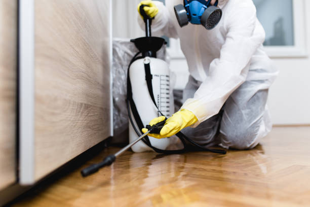 Best Cockroach Control Services  in Nekoosa, WI