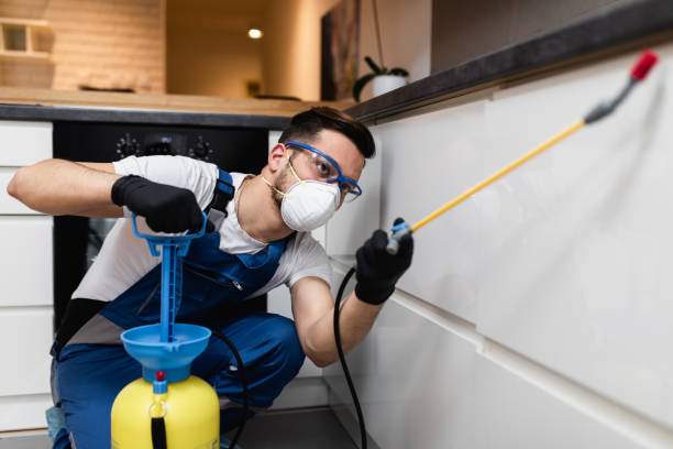Best Mosquito Control Services  in Nekoosa, WI