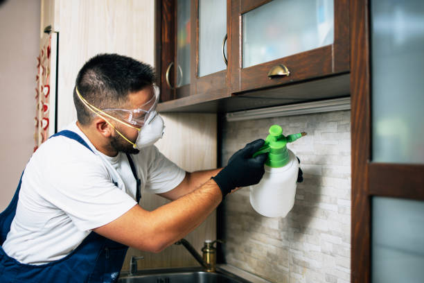 Best Bed Bug Extermination  in Nekoosa, WI