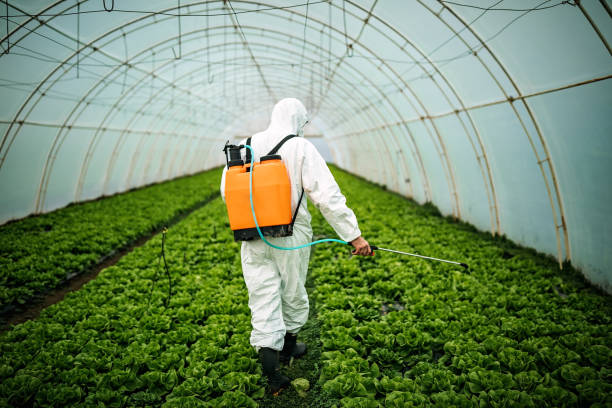 Best Pest Control for Homes  in Nekoosa, WI