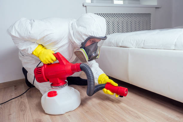 Best Residential Pest Control  in Nekoosa, WI