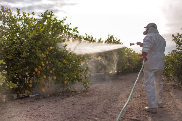 Nekoosa, WI Pest Control Company