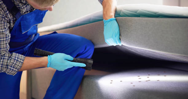 Best Wasp Removal Services  in Nekoosa, WI
