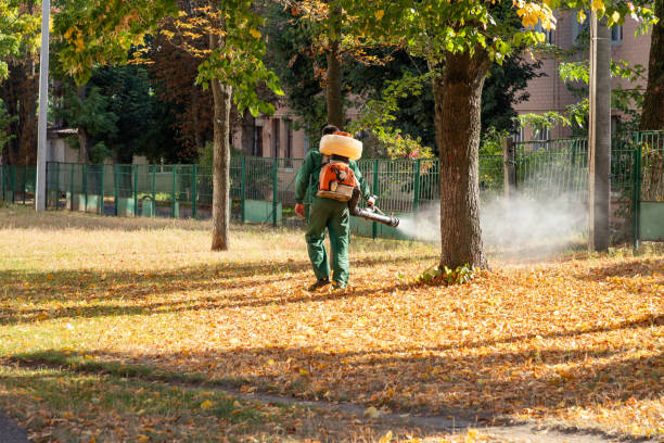 Best Pest Control for Businesses  in Nekoosa, WI
