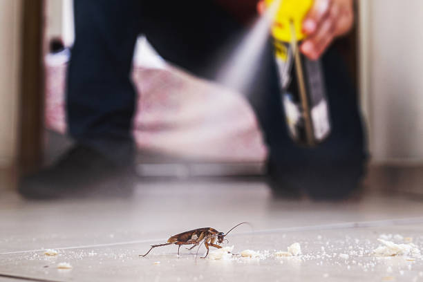 Best Rat Extermination Near Me  in Nekoosa, WI