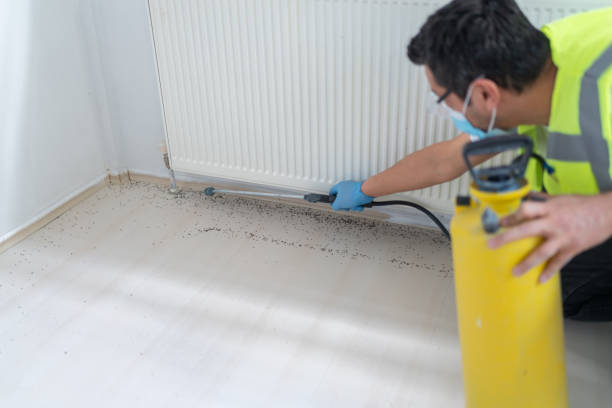Best Emergency Pest Control  in Nekoosa, WI