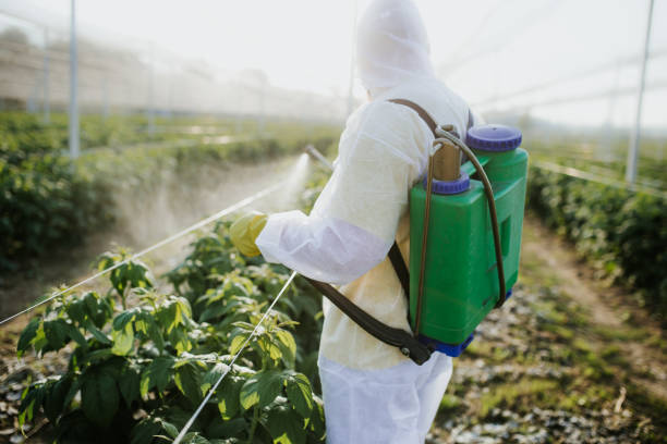 Best Affordable Exterminators  in Nekoosa, WI